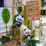 Read more about the article Βάπτιση Panda